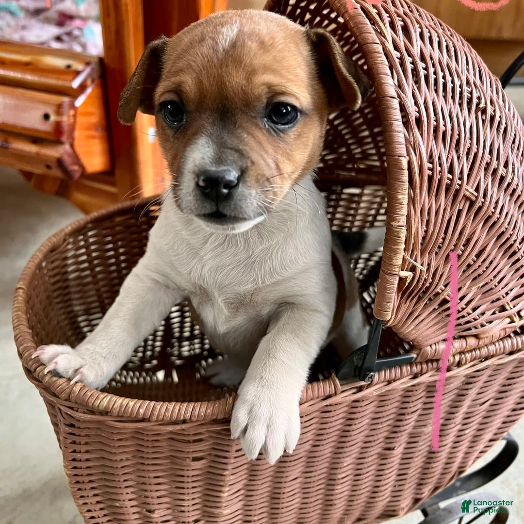 Gallery Image {{count}}