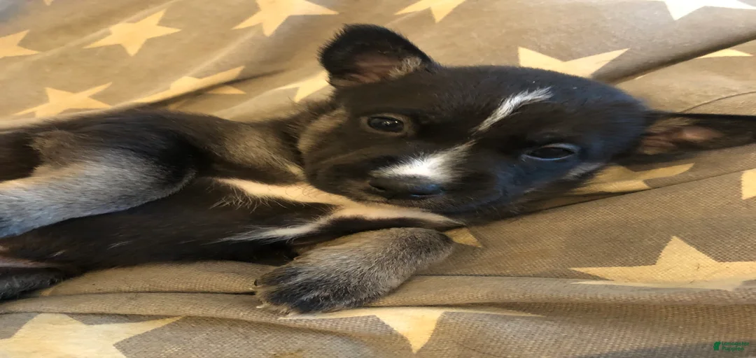 Gallery Image {{count}}