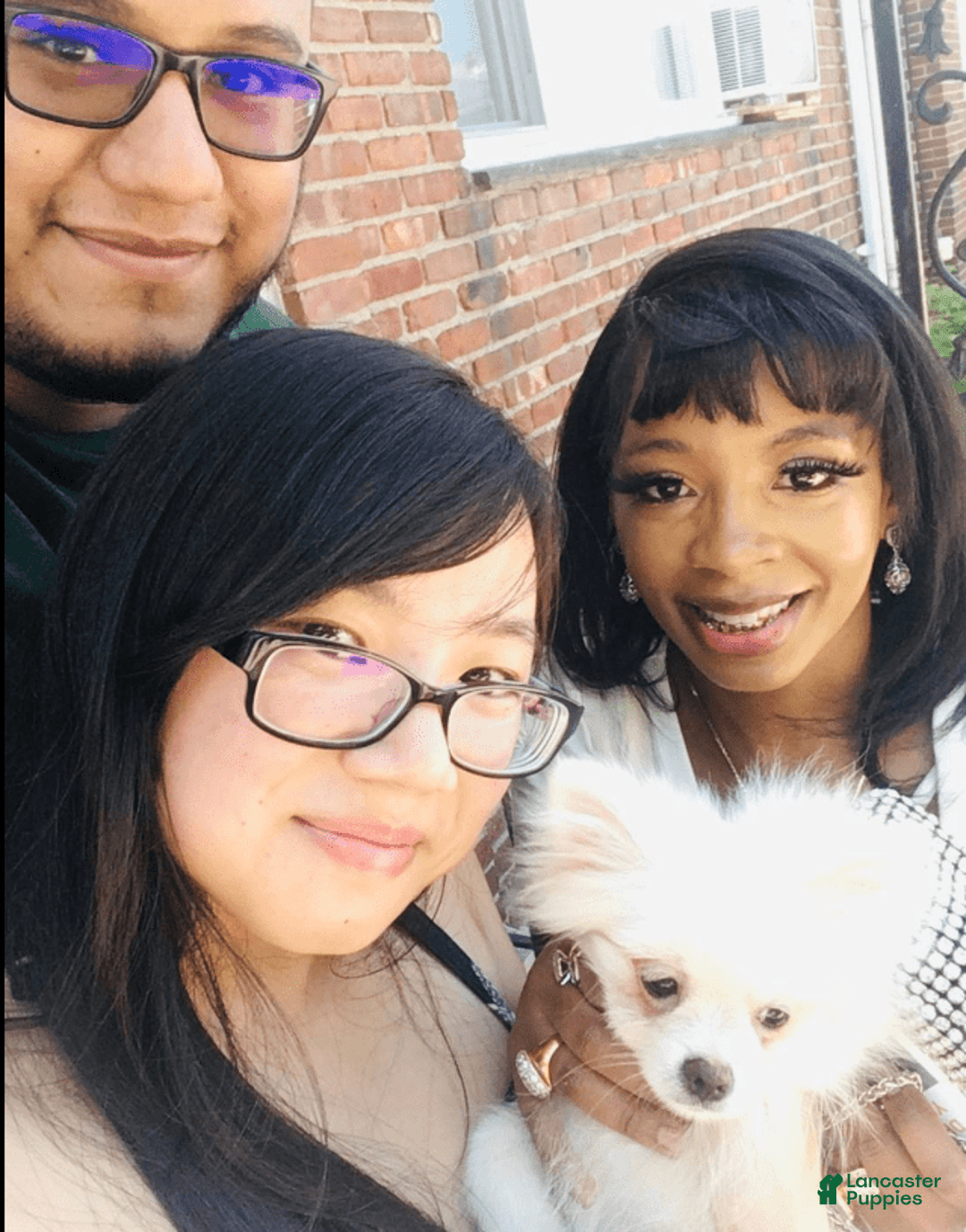 Gallery Image {{count}}