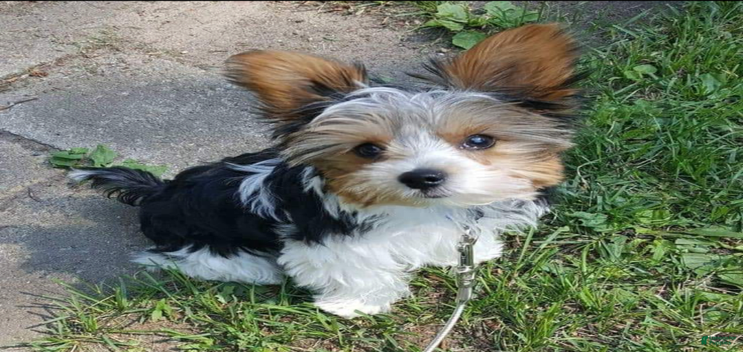 Gallery Image {{count}}