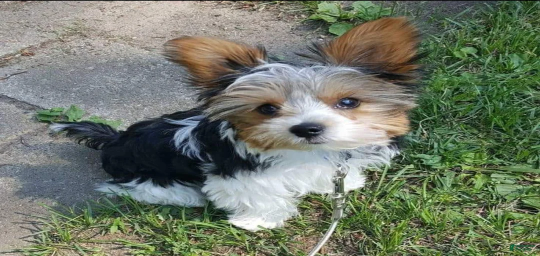 Gallery Image {{count}}