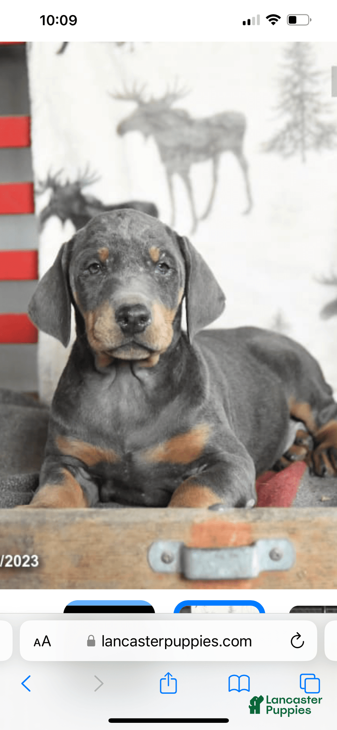 Gallery Image {{count}}