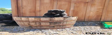 Bouvier Des Flandres Puppy 6