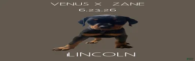 Lincoln
