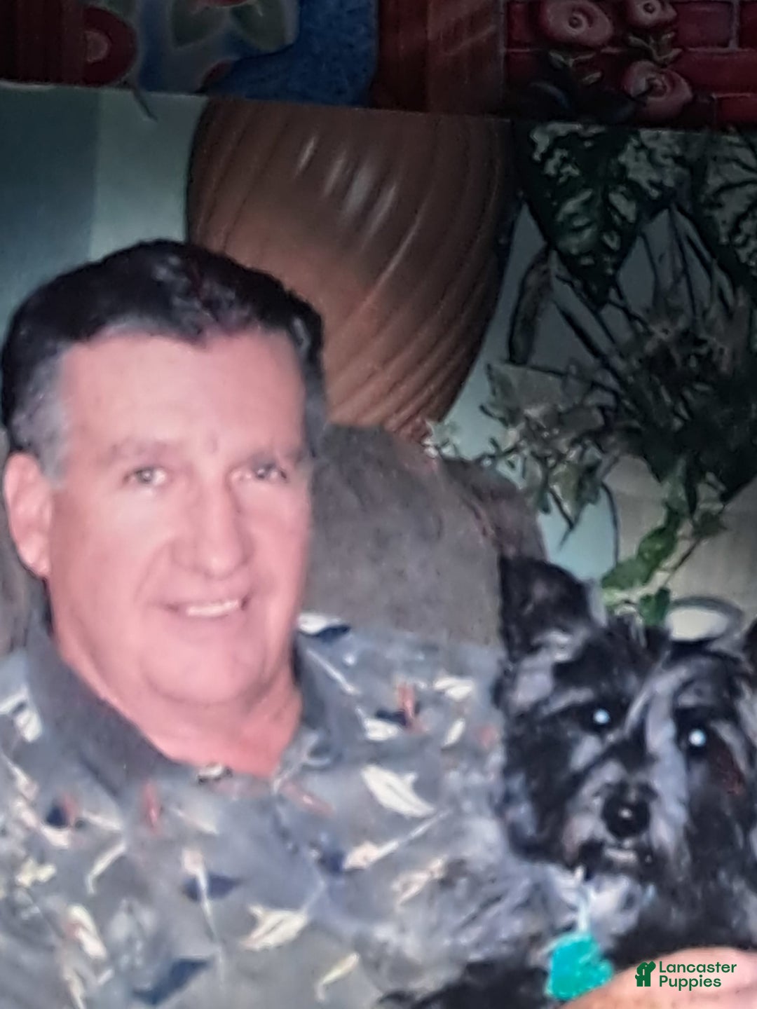 Gallery Image {{count}}