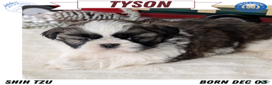 Tyson