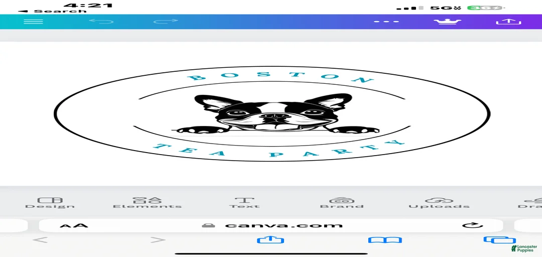 Gallery Image {{count}}