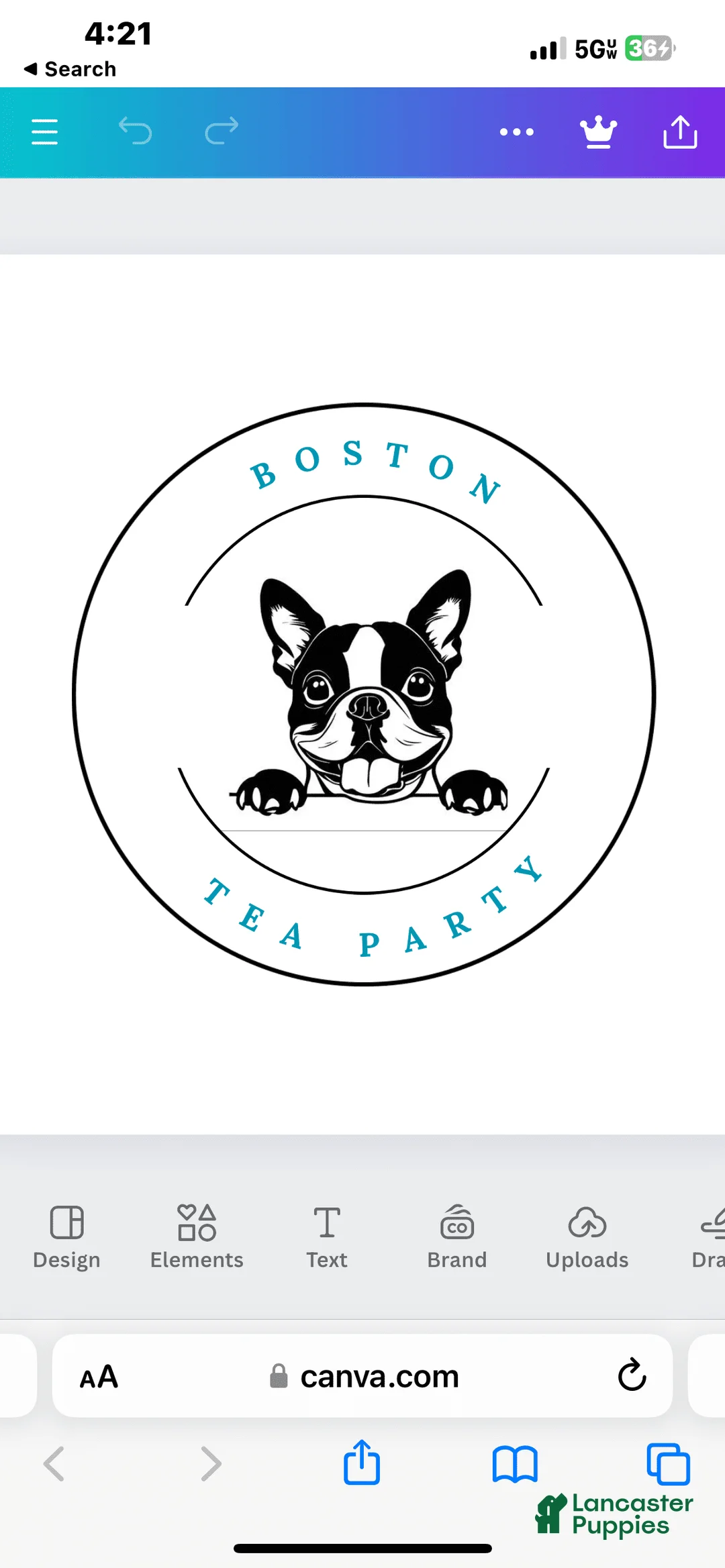 Gallery Image {{count}}