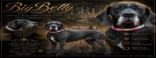 Big Betty