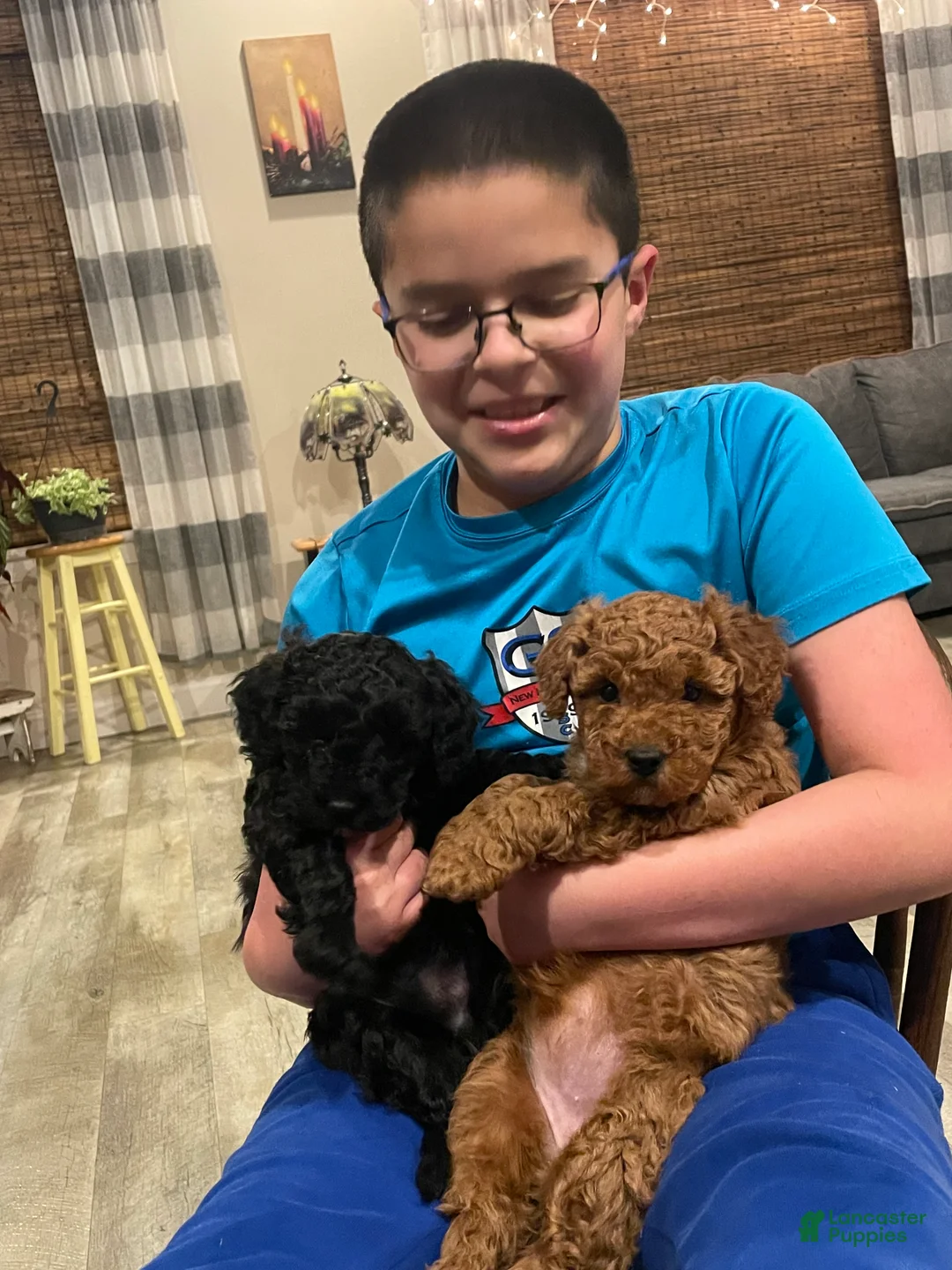 Gallery Image {{count}}