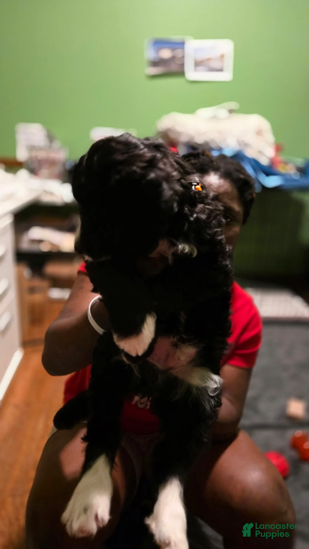 Gallery Image {{count}}