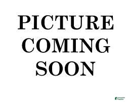Siberian Husky dogs for sale: puppy 1 - Ad 1