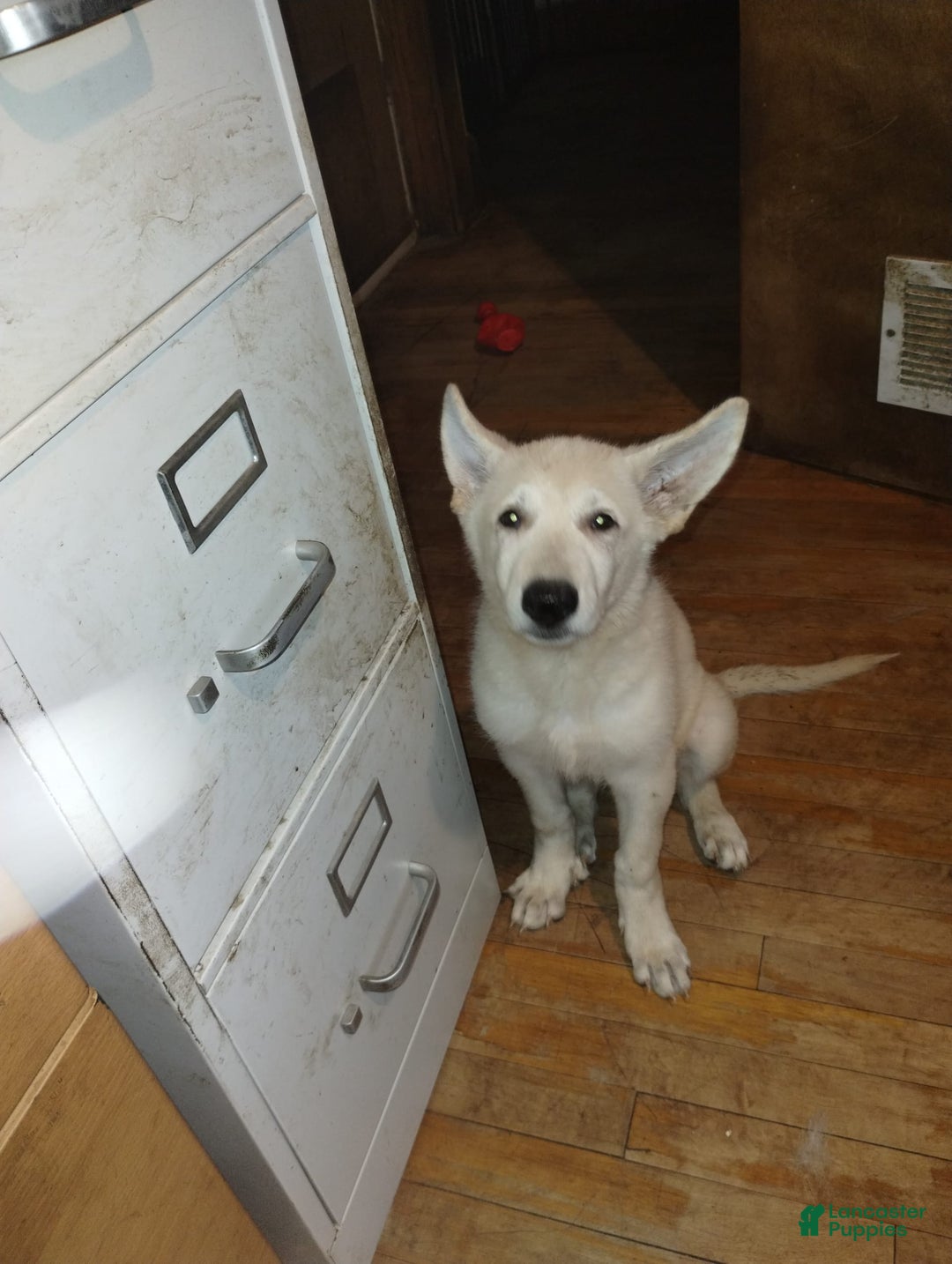 Gallery Image {{count}}