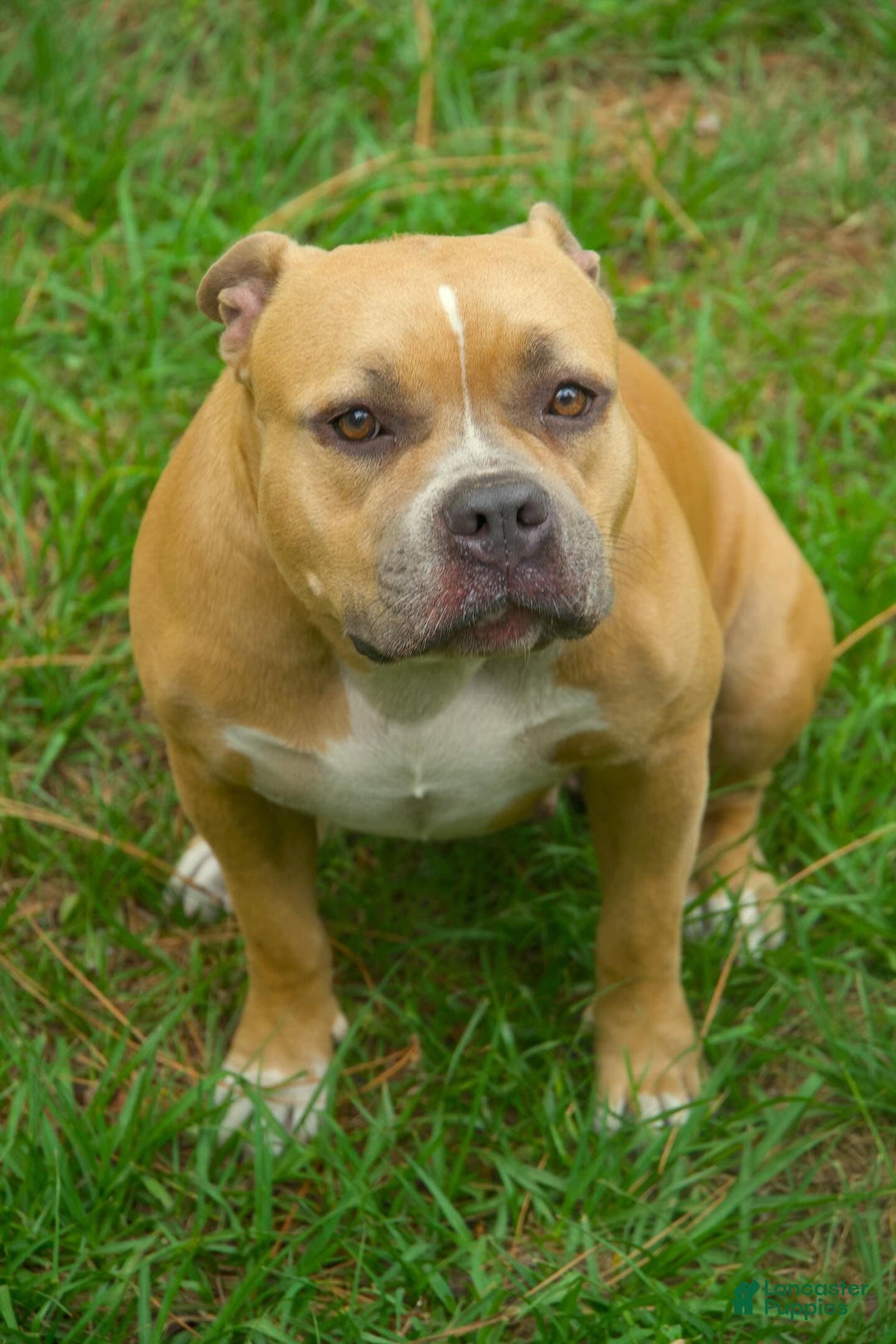 Gallery Image {{count}}