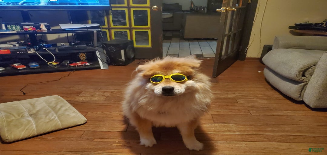 Gallery Image {{count}}