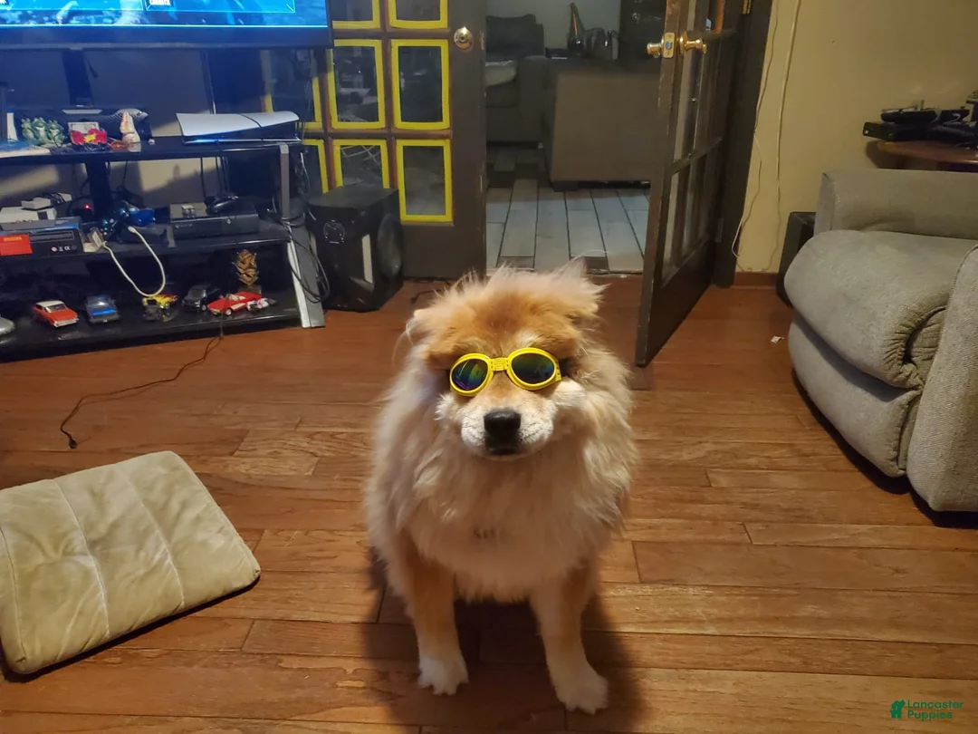 Gallery Image {{count}}