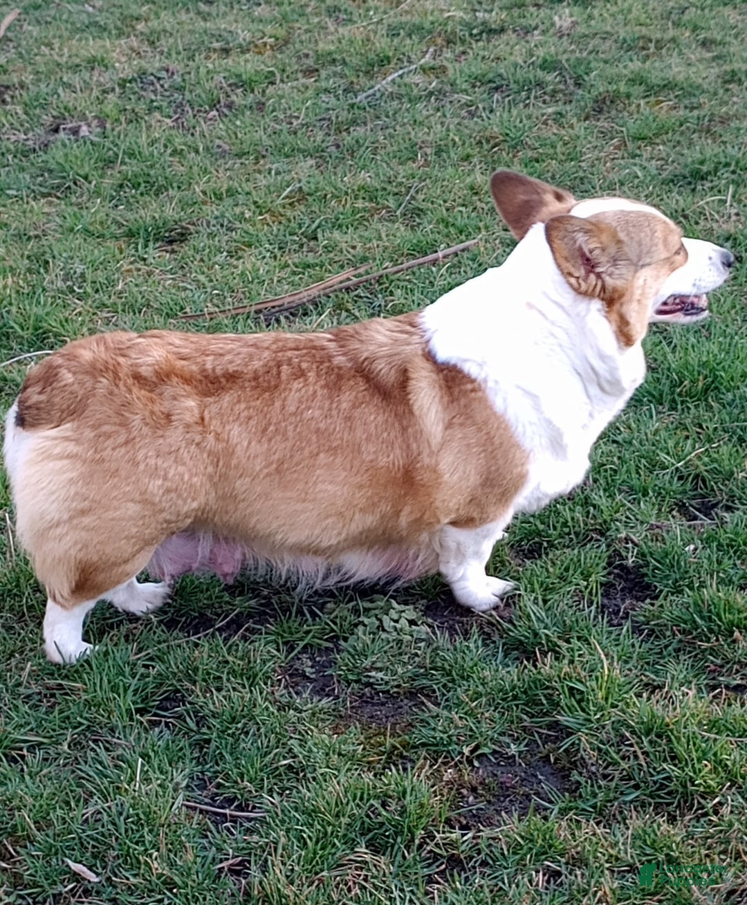 Gallery Image {{count}}