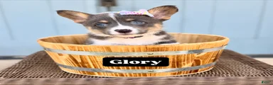 Glory