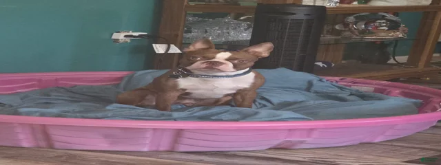Tucker