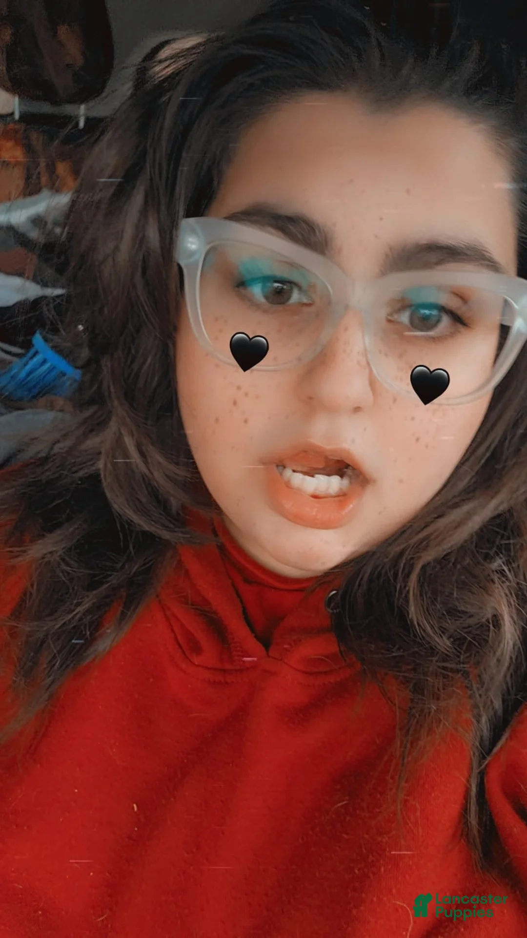 Gallery Image {{count}}