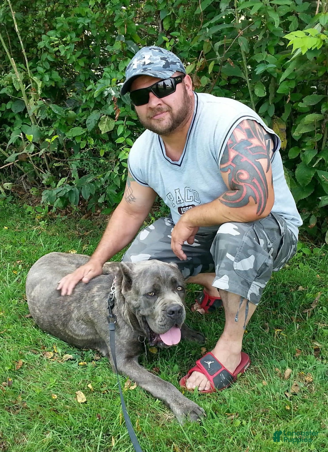 Gallery Image {{count}}