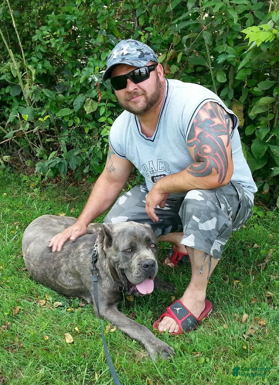 Gallery Image {{count}}