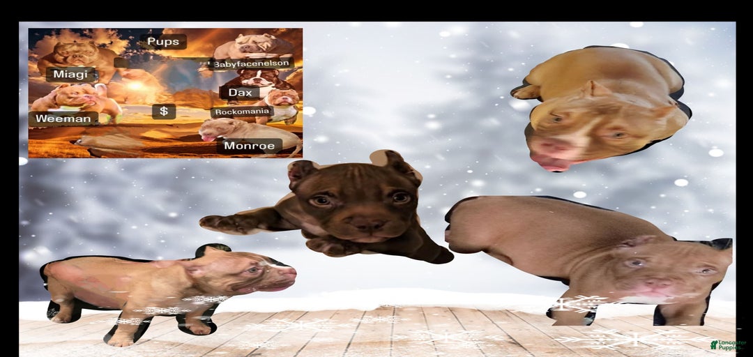 Gallery Image {{count}}