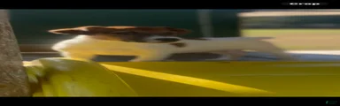 Jack Russell Terrier Polo