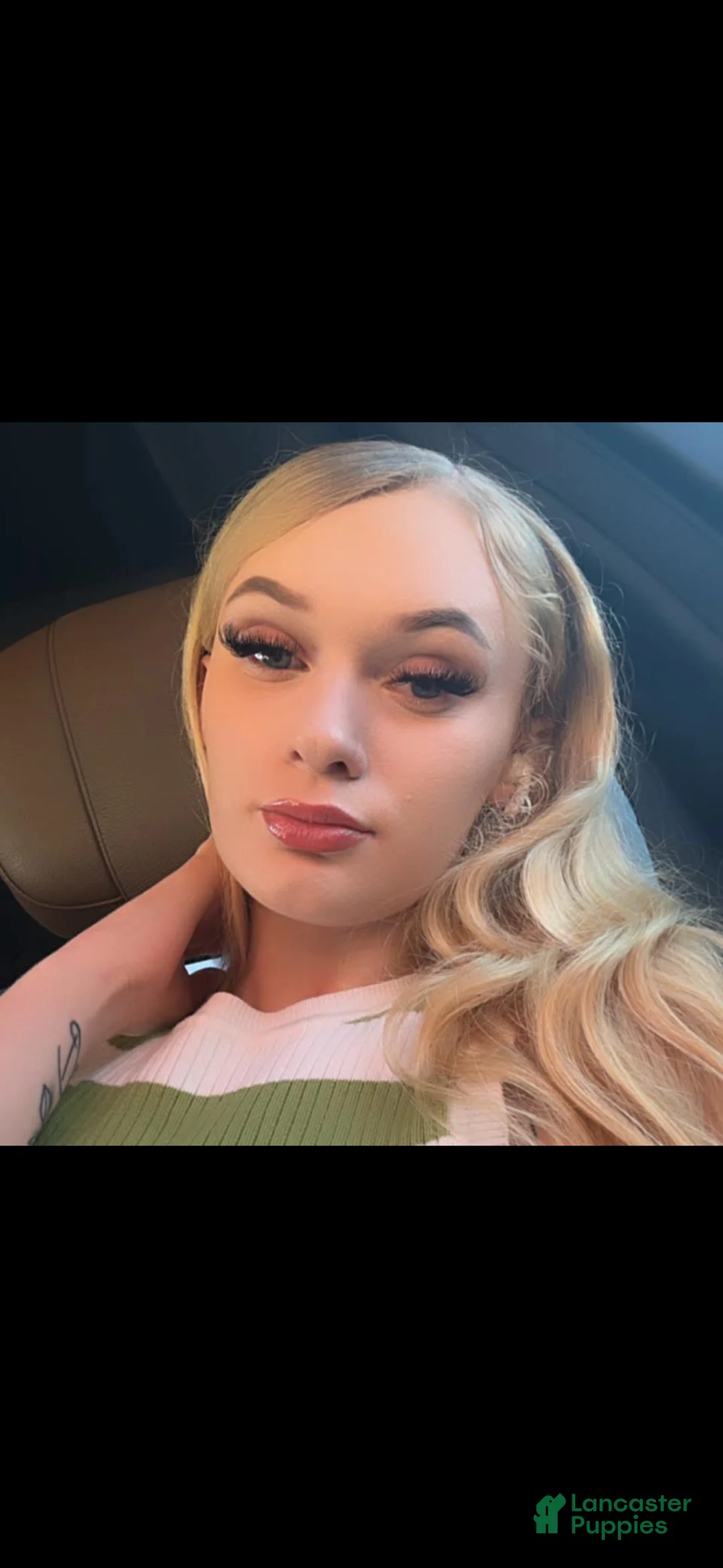 Gallery Image {{count}}