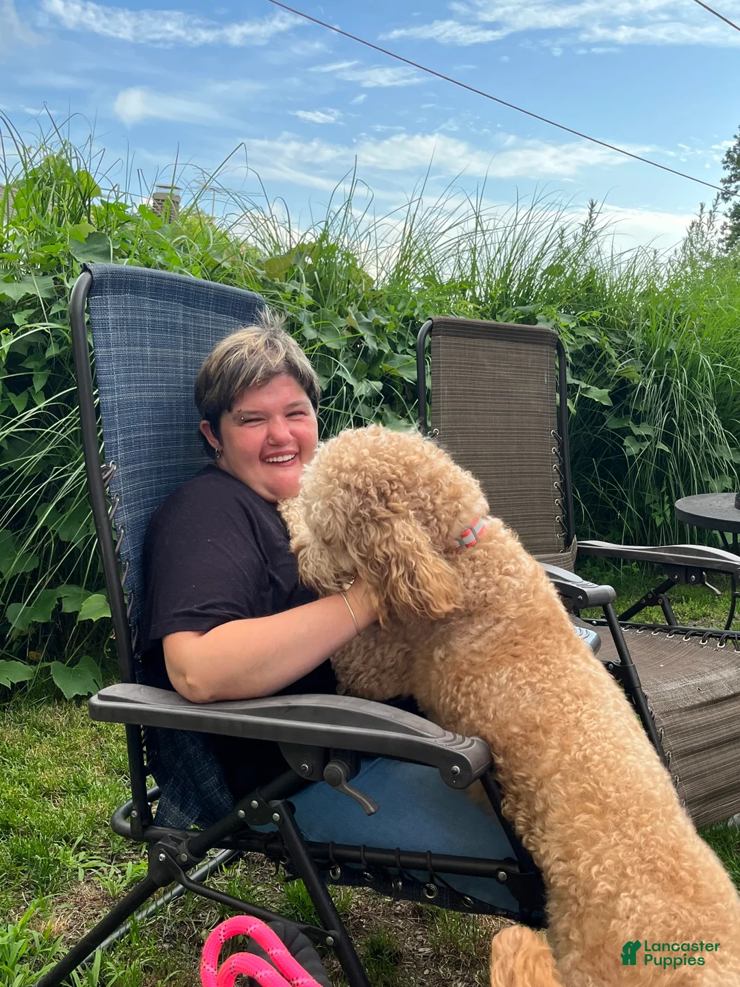 Gallery Image {{count}}