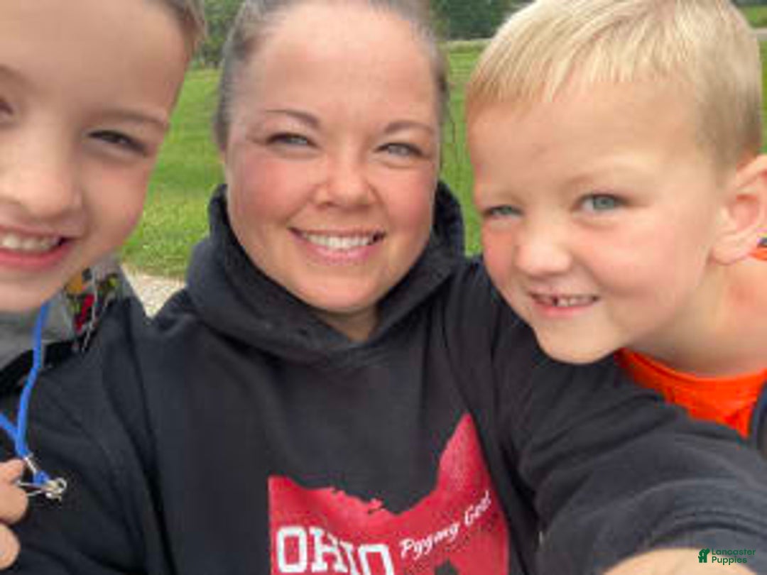 Gallery Image {{count}}