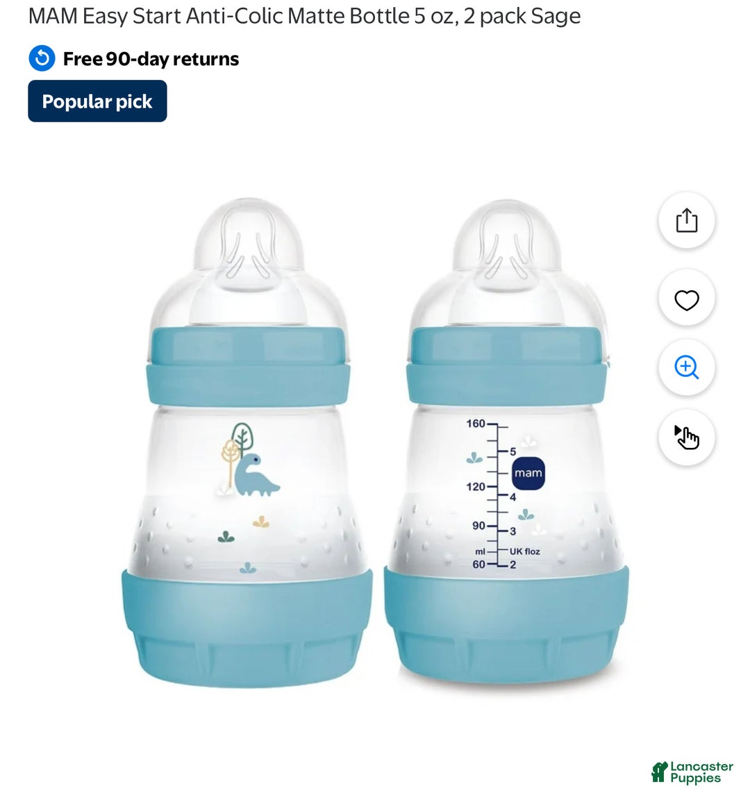 French Bulldog dogs for sale: French Bulldog Puppy 1 - Ad 3