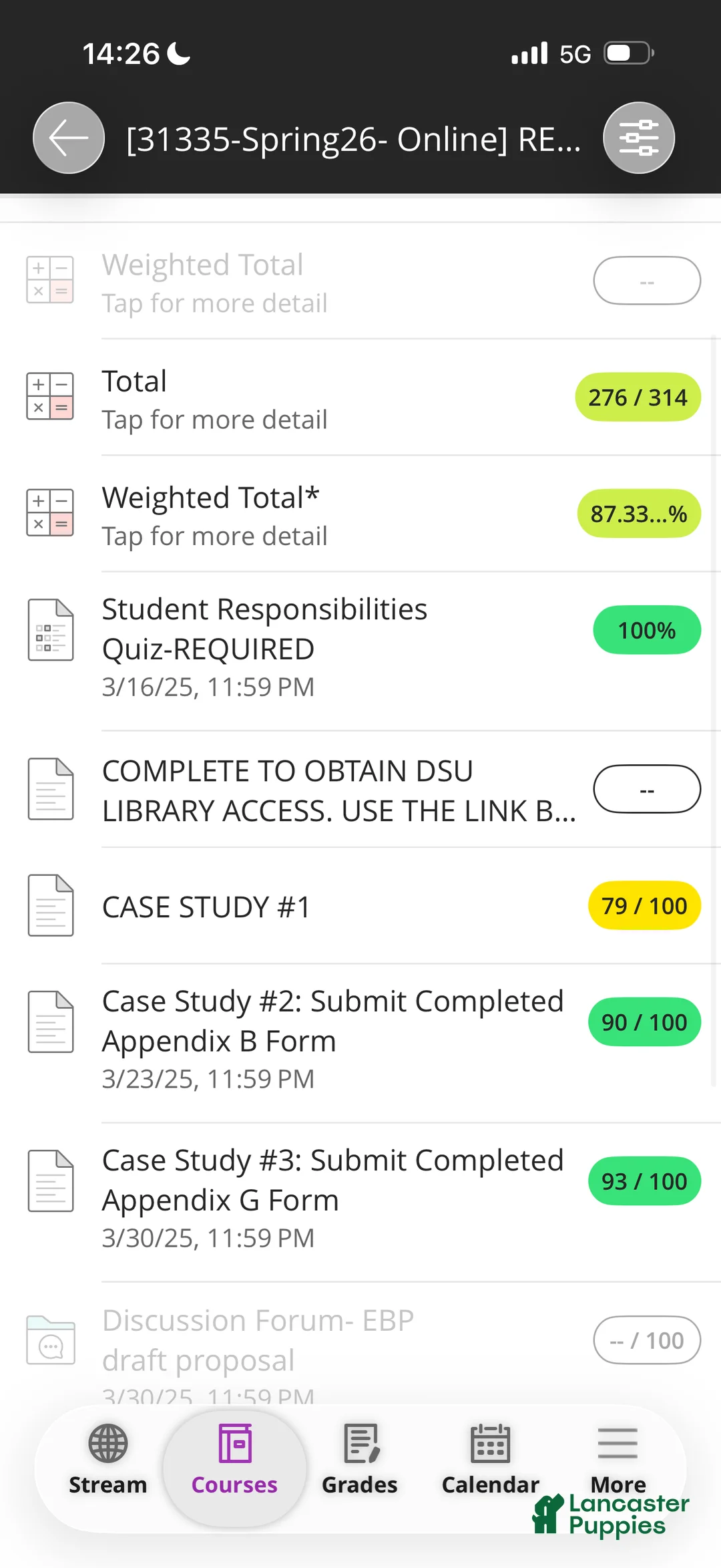 Cavapoo dogs for sale: Cavapoo Puppy 1 - Ad 10