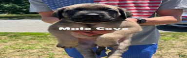 Cove