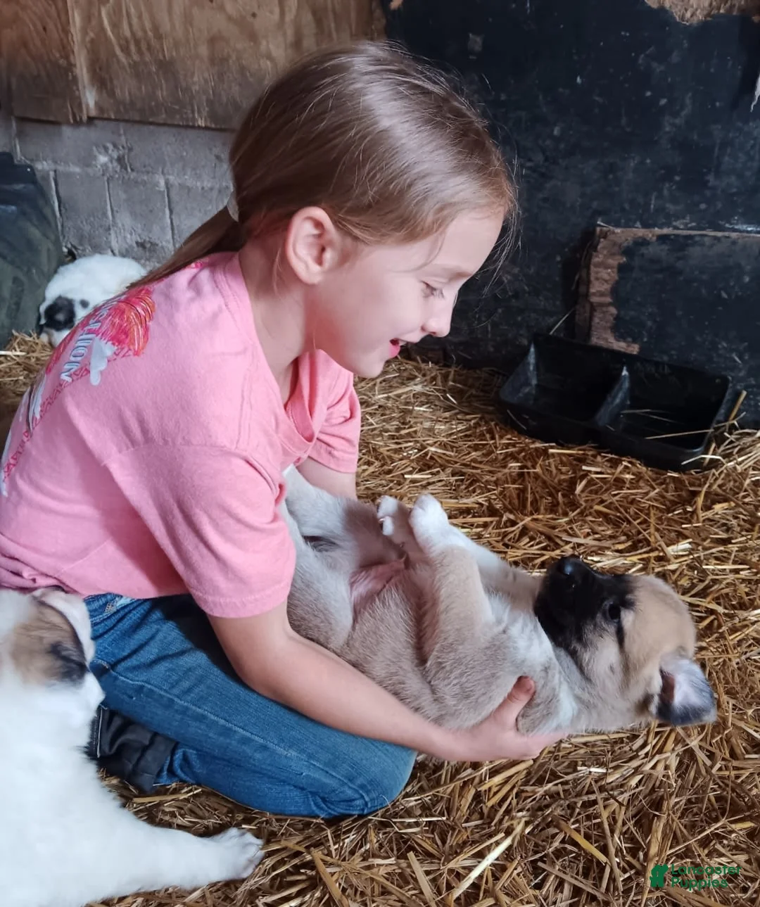 Gallery Image {{count}}