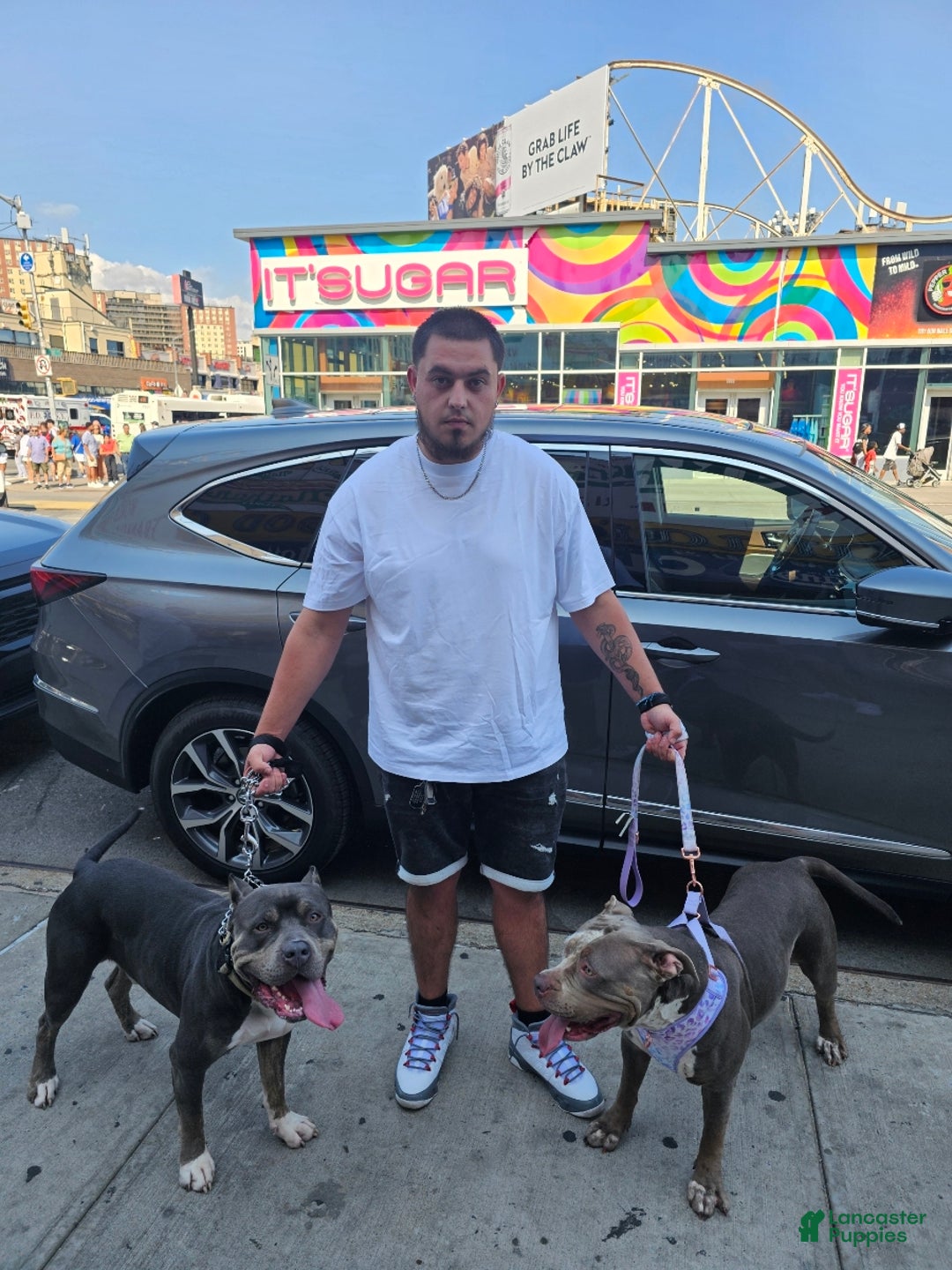 Gallery Image {{count}}