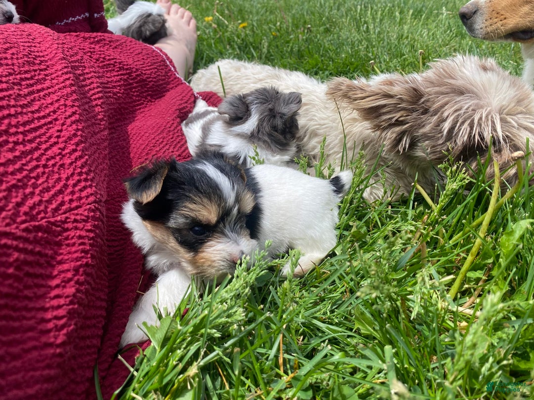 Gallery Image {{count}}