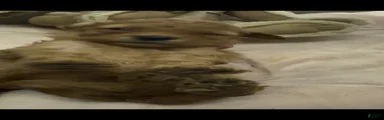 Fleece