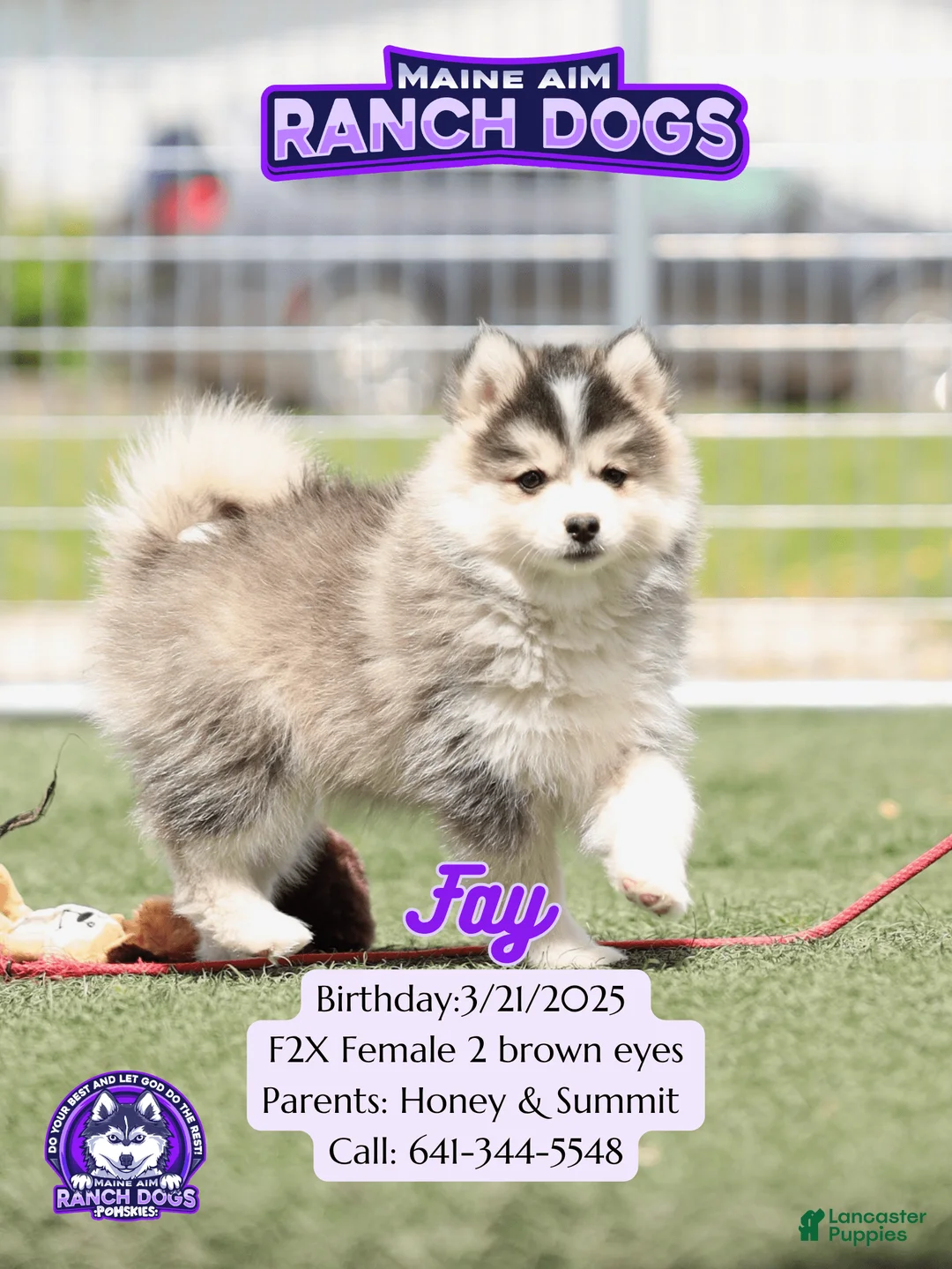 Gallery Image {{count}}