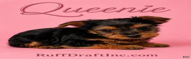 Queenie