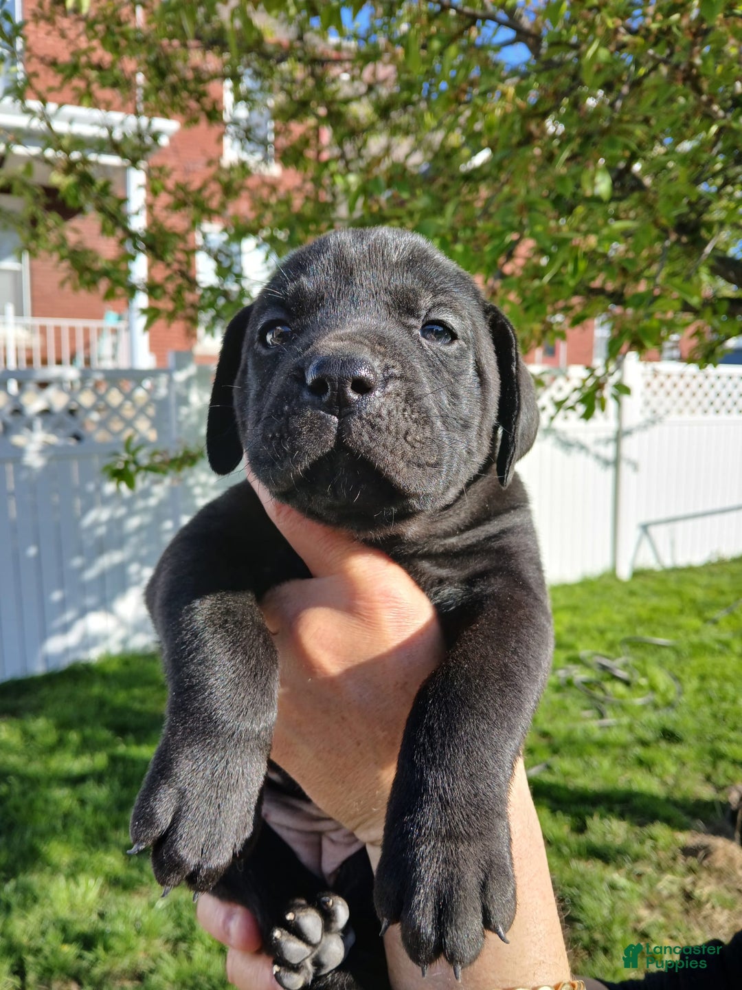 Gallery Image {{count}}