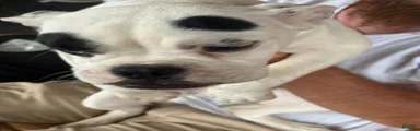 2 dot