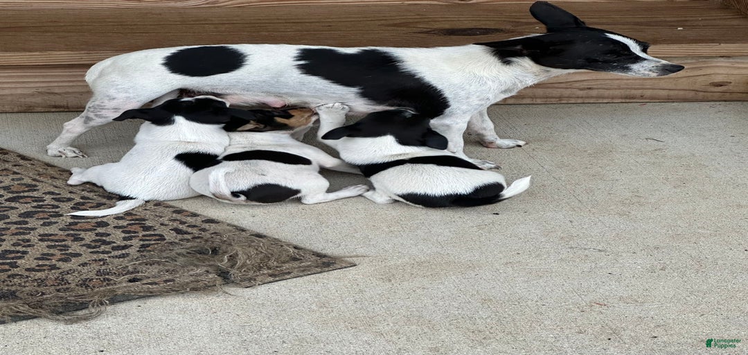 Gallery Image {{count}}