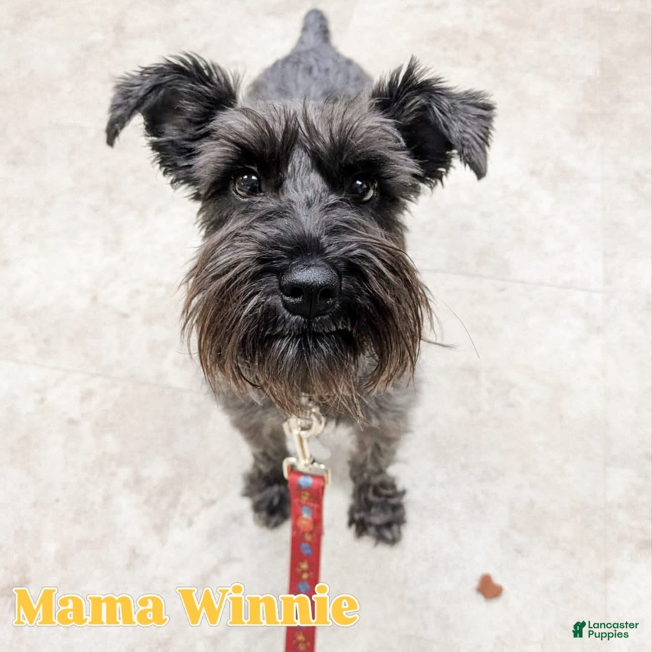 Winnie