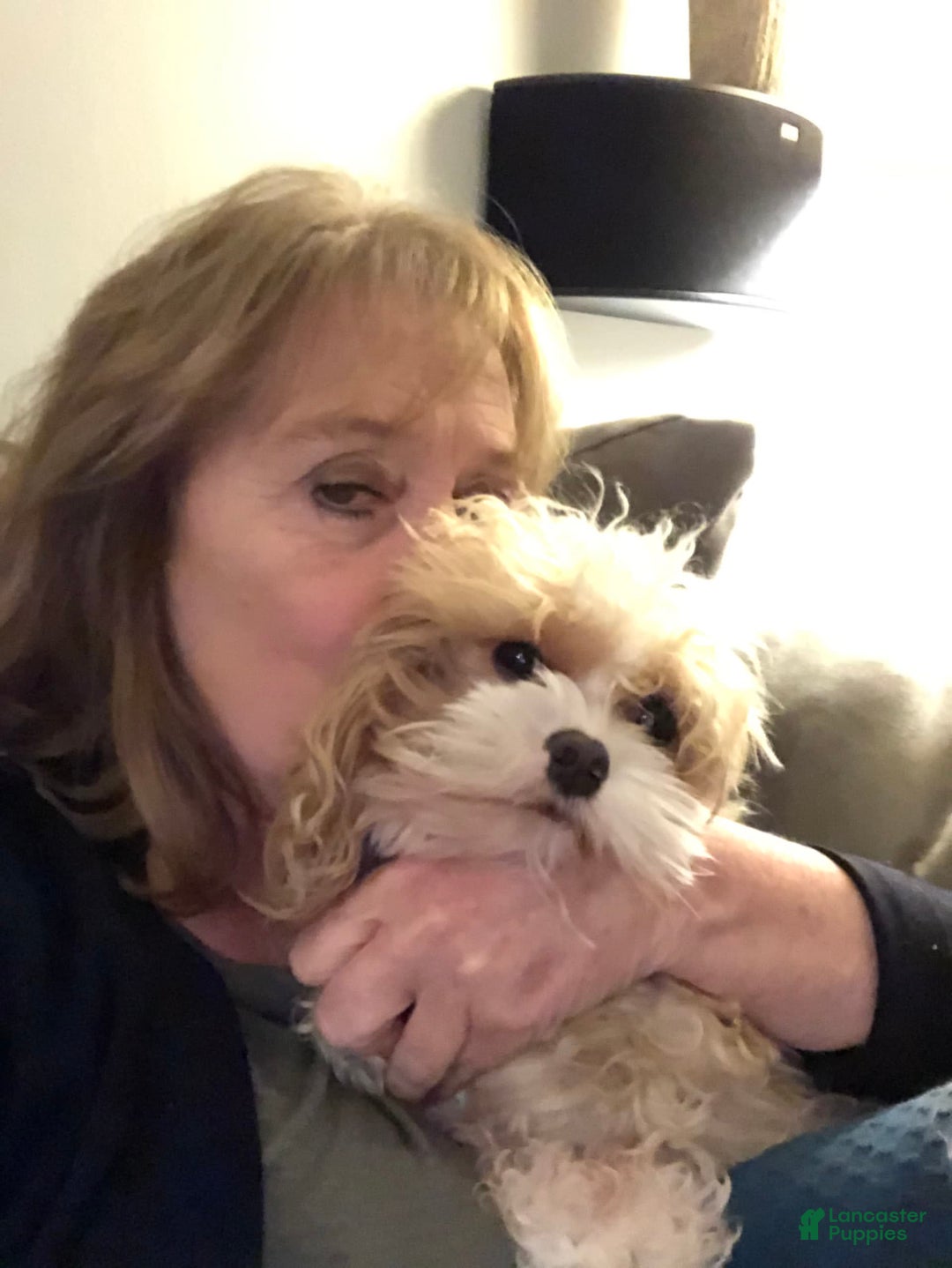 Gallery Image {{count}}