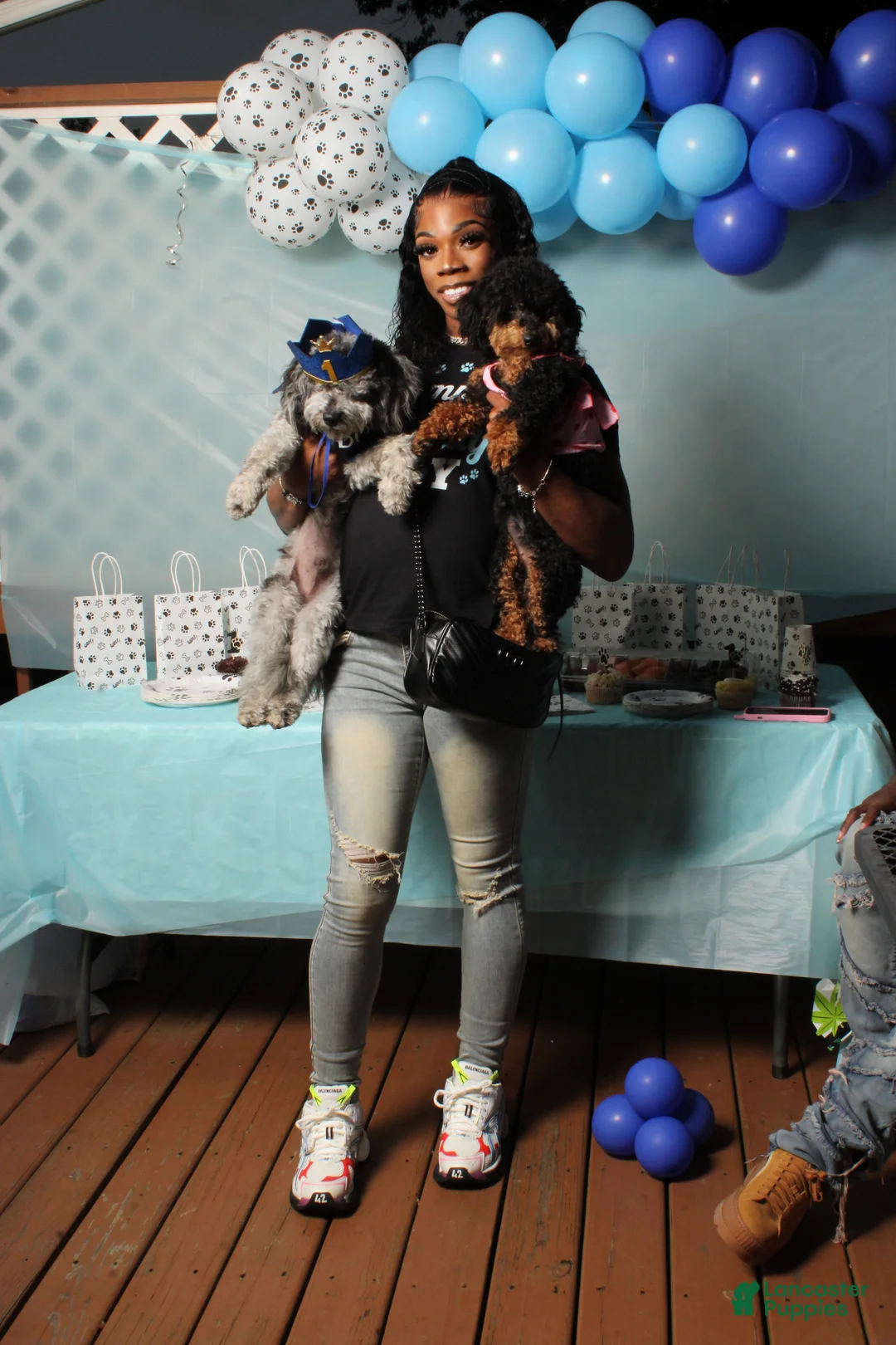 Gallery Image {{count}}