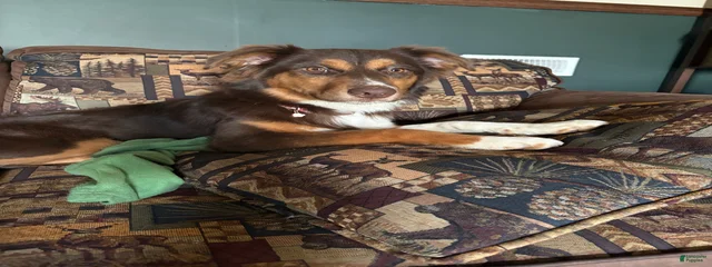 Molly