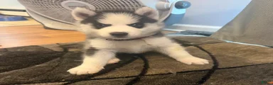Casper
