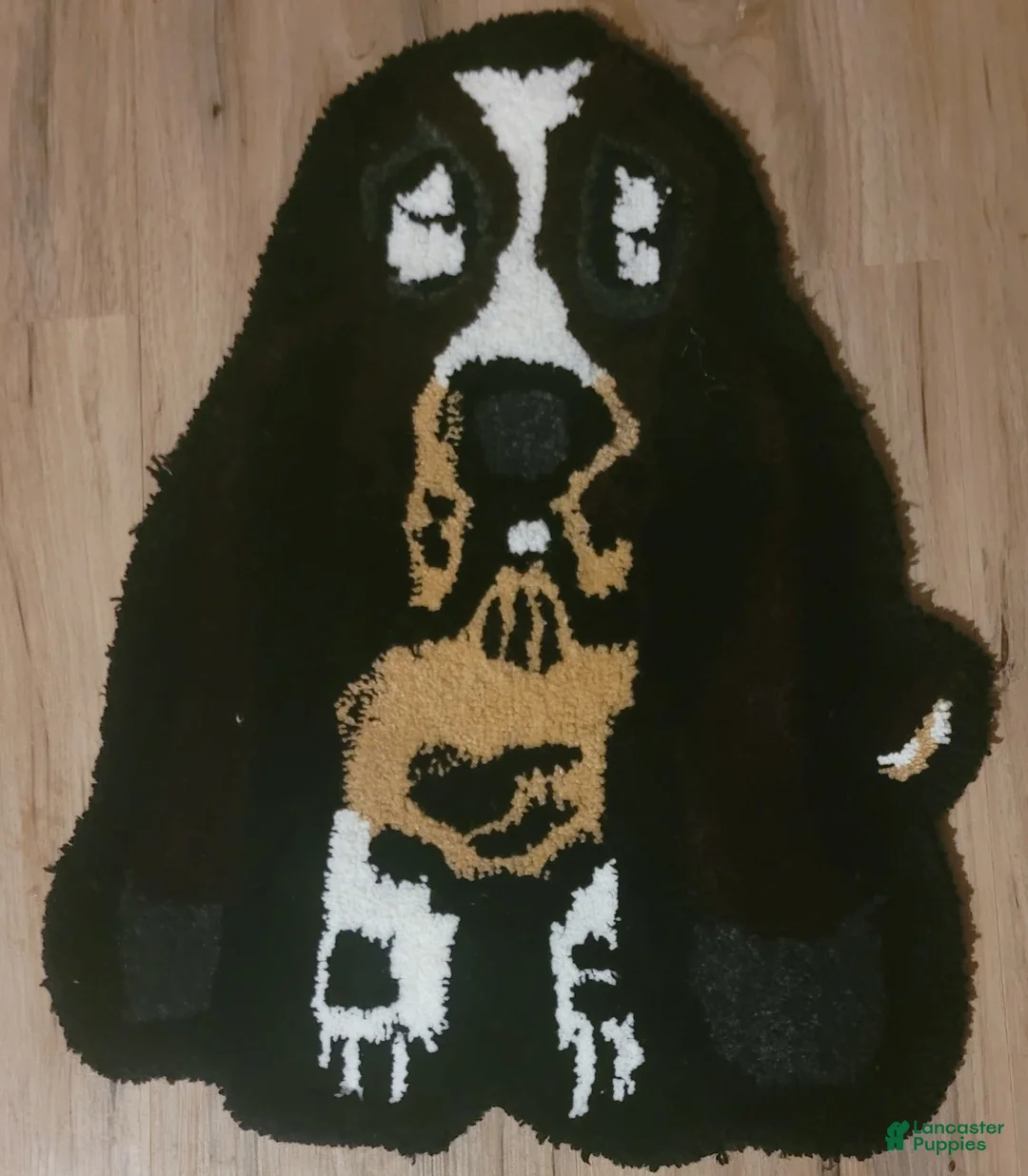 Gallery Image {{count}}