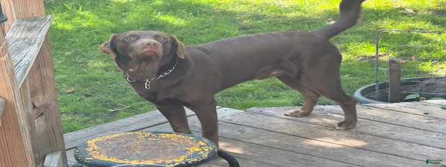 Tucker